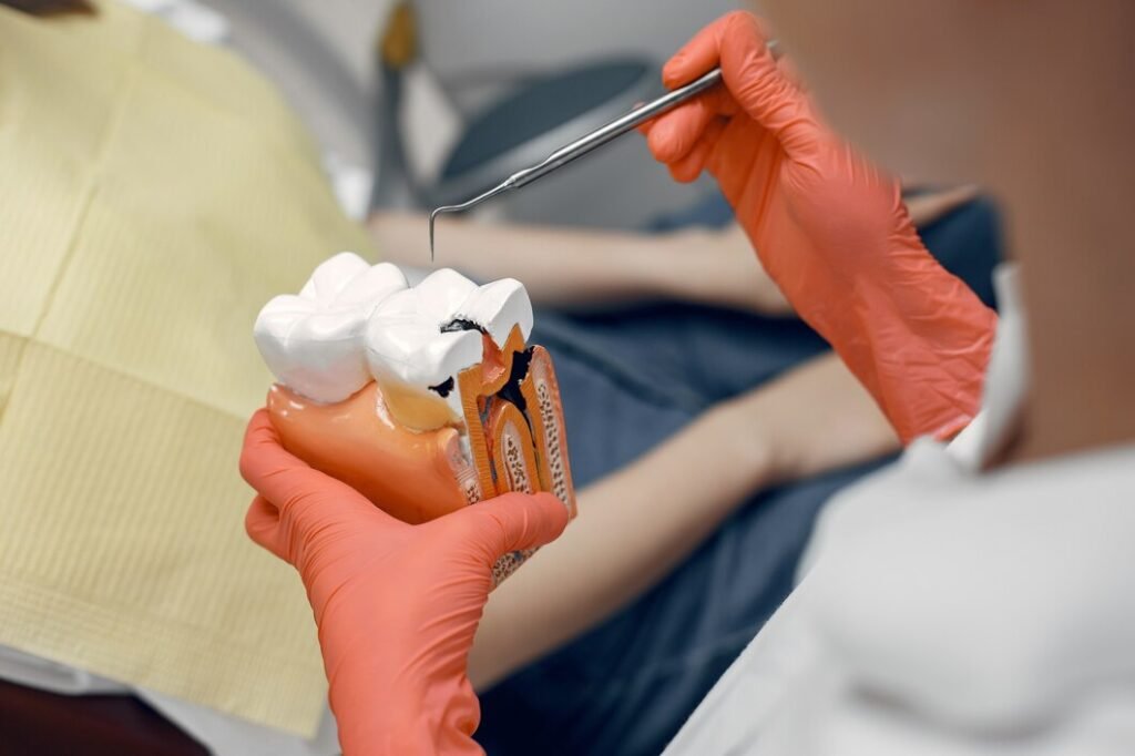 Dentist demonstrating tooth structure and cavity treatment using dental model
