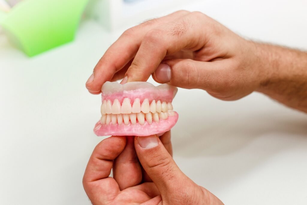 Dental denture model showing complete set of artificial teeth for replacement