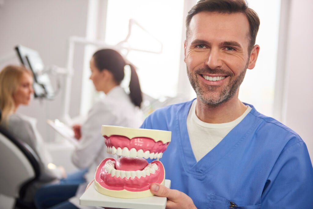 Dentist holding dental model while explaining teeth and oral care treatment